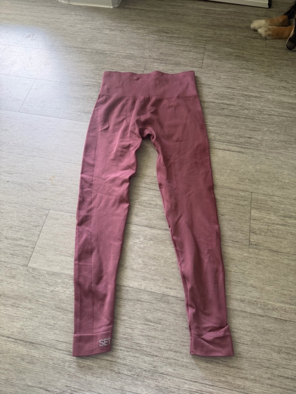Set active Seamless Leggings